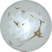 Image:Eeloo